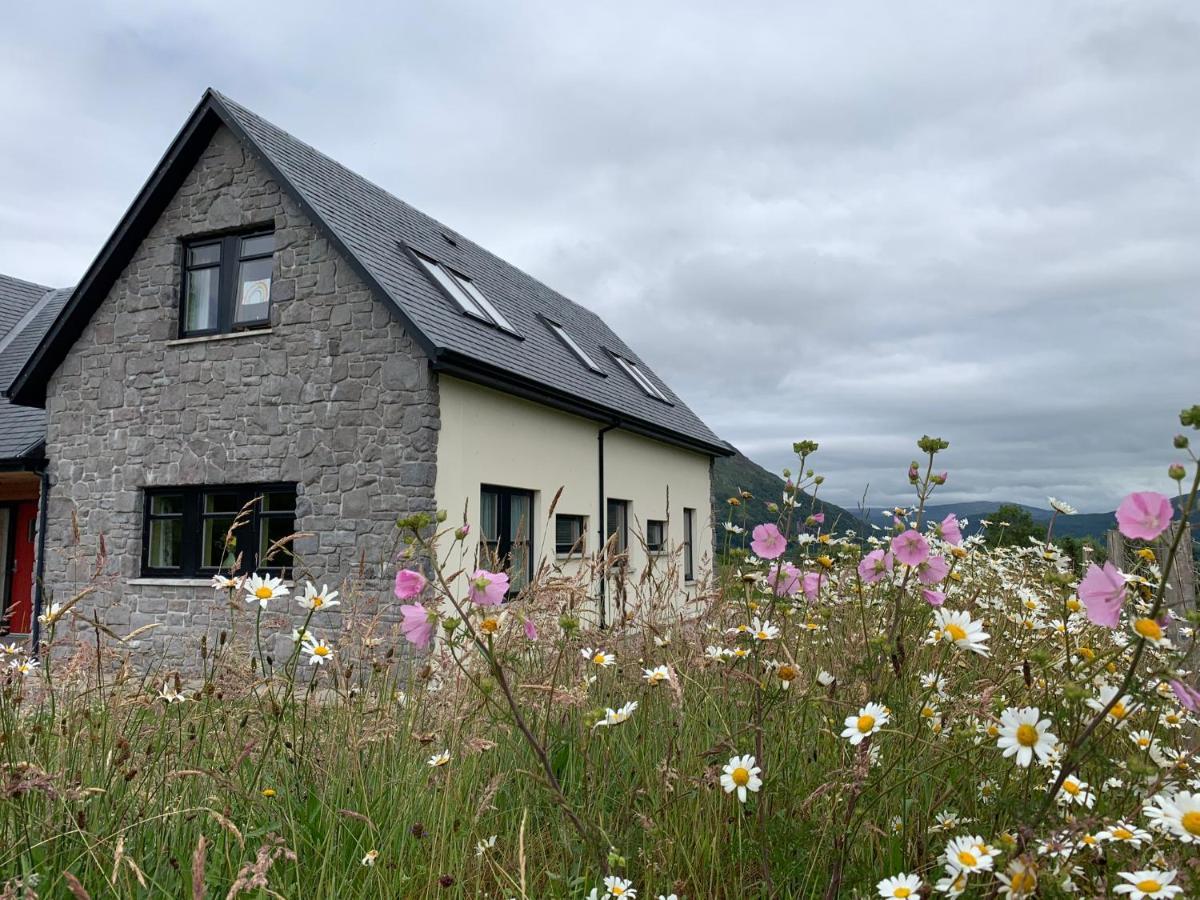 Ceo Mara Croft B&B & 2 Luxury Cabins تاينويلت المظهر الخارجي الصورة